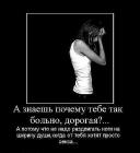 Прикрепленное изображение: 458.jpg