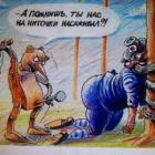 Прикрепленное изображение: image.jpeg