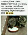 Прикрепленное изображение: 1598596355.jpg