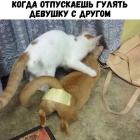 Прикрепленное изображение: MRnTk46bWM8.jpg