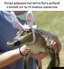 Прикрепленное изображение: post-472119-0-43310900-1598761311.jpeg