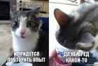 Прикрепленное изображение: risovach.ru.jpg