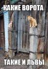 Прикрепленное изображение: Такие и львы.jpg