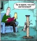 Прикрепленное изображение: Кошка на когтеточке.jpg