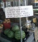 Прикрепленное изображение: Дай человеку арбуз.jpg