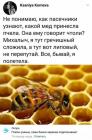 Прикрепленное изображение: 1661155658.jpg