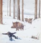 Прикрепленное изображение: Кабаны sG5DJrZSRlxlmL6WUn.jpg