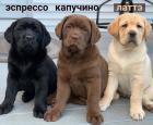 Прикрепленное изображение: Эспрессо капучино латте.jpg
