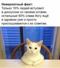 Прикрепленное изображение: 1691404024.jpg