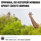 Прикрепленное изображение: fd6a8332-c803-497f-a4b6-fb2de47c96e8.jpg