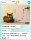 Прикрепленное изображение: Заряжается перед сном.jpg
