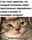 Прикрепленное изображение: Пунктуальные подчиненные.jpg