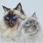 Прикрепленное изображение: liWUWzpq_Ztm1lR04q7Iidxkv7KfkgW0B4HKl1-2csA_Igbq1vdfoGAgaNM.jpg