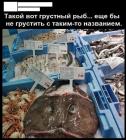 Прикрепленное изображение: Рыба Huesos.jpg