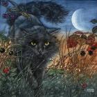 Прикрепленное изображение: IMG_20250823_201549.jpg