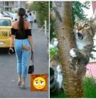 Прикрепленное изображение: 242030496_375863654083883_7133484226211870998_n.jpg