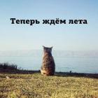 Прикрепленное изображение: Теперь ждём лета.jpg