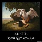 Прикрепленное изображение: qzgmymsbdbh5.jpg