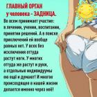 Прикрепленное изображение: Главный орган у человека.jpg