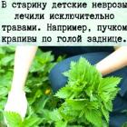 Прикрепленное изображение: Лечение детских неврозов.jpg