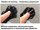 Прикрепленное изображение: Мягонькая лапка.jpg