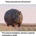 Прикрепленное изображение: Чему научили бегемоты.jpg