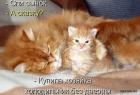 Прикрепленное изображение: 1662109204.jpg