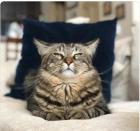 Прикрепленное изображение: 1662203189.jpg