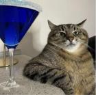 Прикрепленное изображение: CC7415CD-A102-4D39-A57E-589AA512A218.jpeg