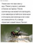 Прикрепленное изображение: g4KSXxdlsGI.jpg