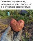 Прикрепленное изображение: 1695718003.jpg