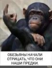 Прикрепленное изображение: 374690789_213993858326546_7037283316143275788_n.jpg