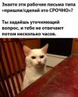 Прикрепленное изображение: Уточняющий вопрос.jpg