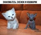 Прикрепленное изображение: 1725820696.jpg