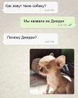 Прикрепленное изображение: Джерри.jpg