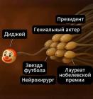 Прикрепленное изображение: 556181194_4587174554894714_6778581758223464023_n.jpg