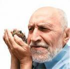 Прикрепленное изображение: nikolay_drozdov_588.jpg