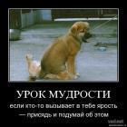 Прикрепленное изображение: 1259305058_oc5kiykxn3.jpg