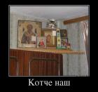 Прикрепленное изображение: j864_x596860.jpg