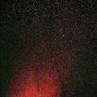 Прикрепленное изображение: Melange 2016.jpg