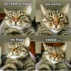 Прикрепленное изображение: 10474336.jpg