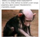 Прикрепленное изображение: IMG-20171009-WA0002.jpg