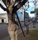 Прикрепленное изображение: 1567781225_pokazalos-19.jpg