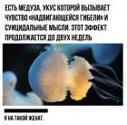 Прикрепленное изображение: NdPPdFJ7jsc.jpg