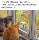 Прикрепленное изображение: 1603779755.jpg