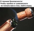 Прикрепленное изображение: Водка вместо шампанского.jpg
