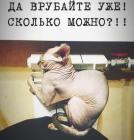 Прикрепленное изображение: IMG_20201001_104201_530.jpg