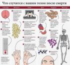 Прикрепленное изображение: Что случится с вашим телом после смерти.jpg