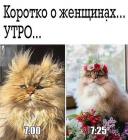 Прикрепленное изображение: Коротко о женщинах.jpg