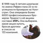 Прикрепленное изображение: Шимпанзе - успешный брокер.jpg